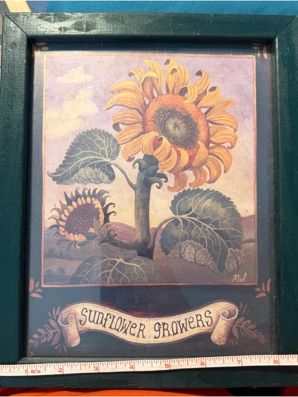 Sunflower Growers Framed Art - 1 Yellow & 2 Green pictures